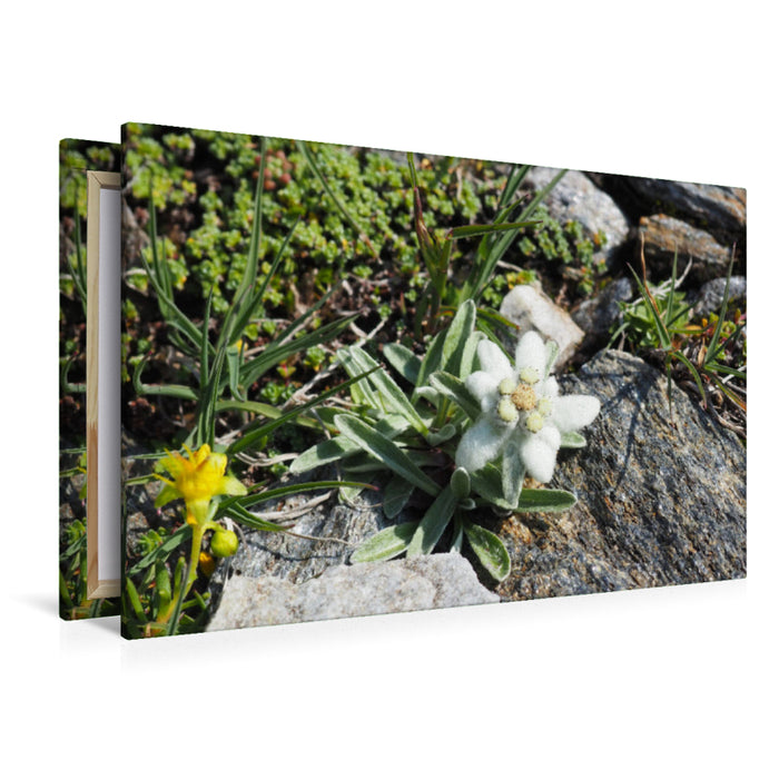 Premium textile canvas Premium textile canvas 120 cm x 80 cm landscape Hohe Tauern 