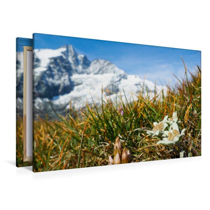 Premium textile canvas Premium textile canvas 120 cm x 80 cm across A motif from the calendar Edelweiss landmark of the Alps 