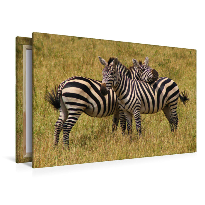 Premium Textil-Leinwand Premium Textil-Leinwand 120 cm x 80 cm quer Zebras