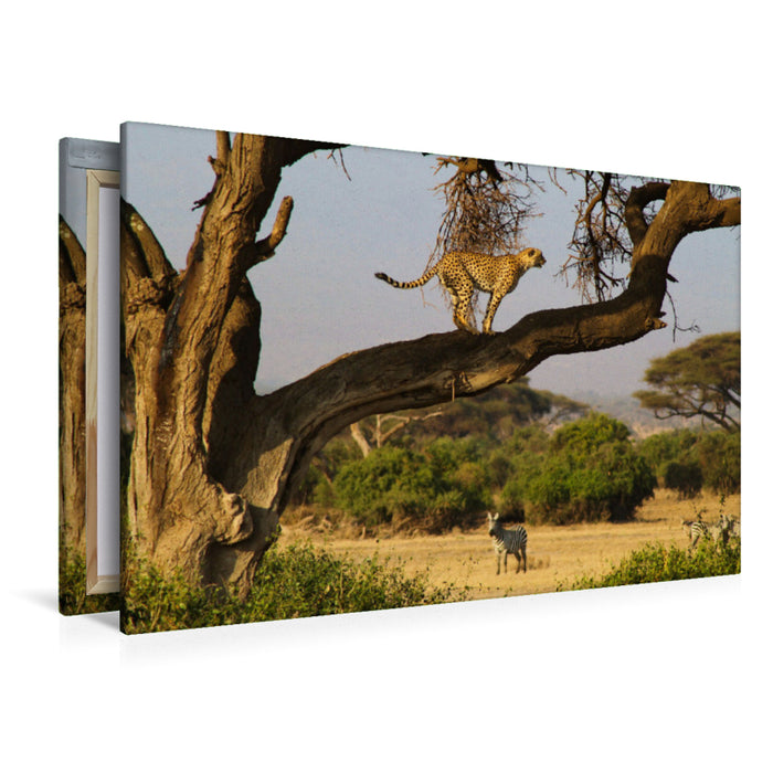 Premium textile canvas Premium textile canvas 120 cm x 80 cm landscape cheetah and zebra 