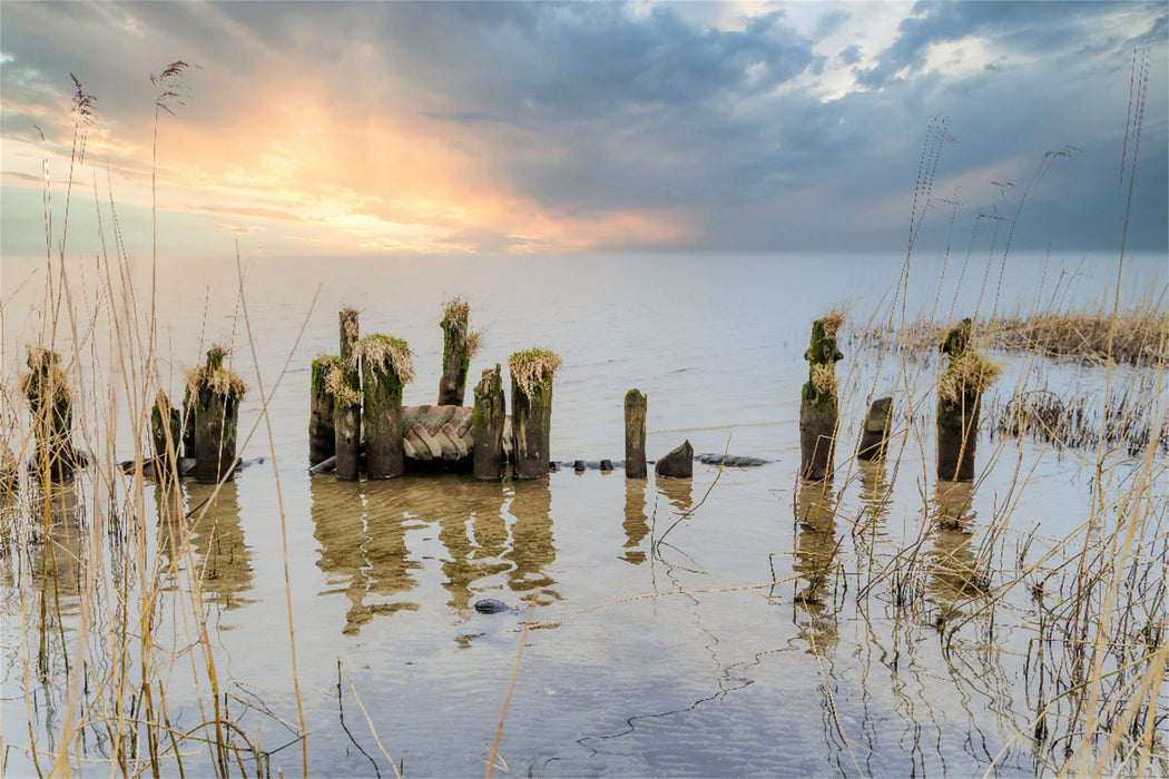 Premium textile canvas Premium textile canvas 120 cm x 80 cm across old groynes near Grambin 