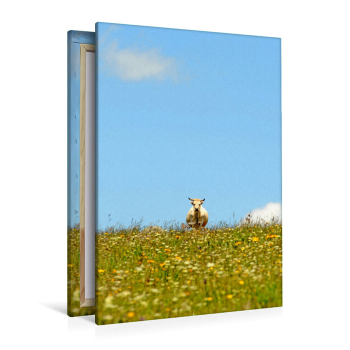 Premium textile canvas Premium textile canvas 80 cm x 120 cm high An image of the cow calendar 