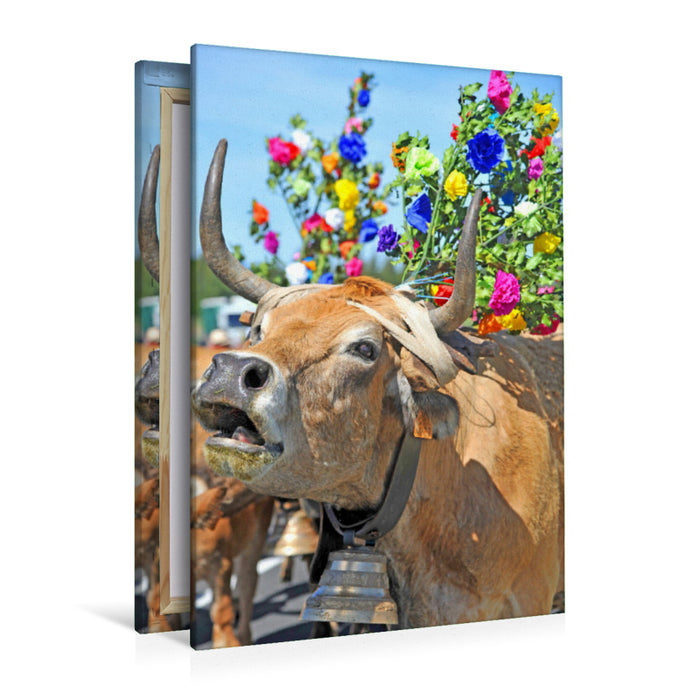 Premium textile canvas Premium textile canvas 80 cm x 120 cm high Roar of a cow 