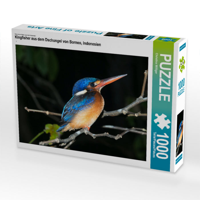 Kingfisher aus dem Dschungel von Borneo, Indonesien - CALVENDO Foto-Puzzle - calvendoverlag 29.99