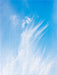 Wolken-Engel am Himmel - CALVENDO Foto-Puzzle - calvendoverlag 39.99