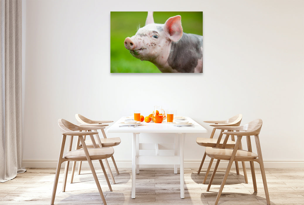 Premium textile canvas Premium textile canvas 120 cm x 80 cm landscape pig 