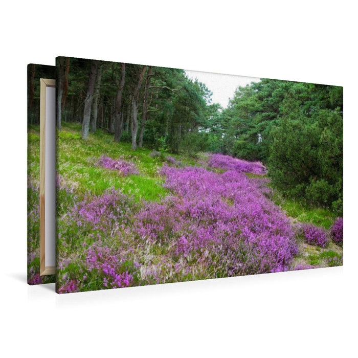 Premium textile canvas Premium textile canvas 120 cm x 80 cm landscape heathland in Denmark 