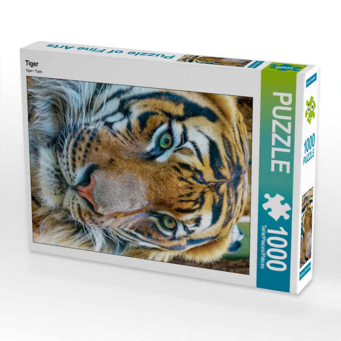 Tiger - CALVENDO Foto-Puzzle - calvendoverlag 29.99