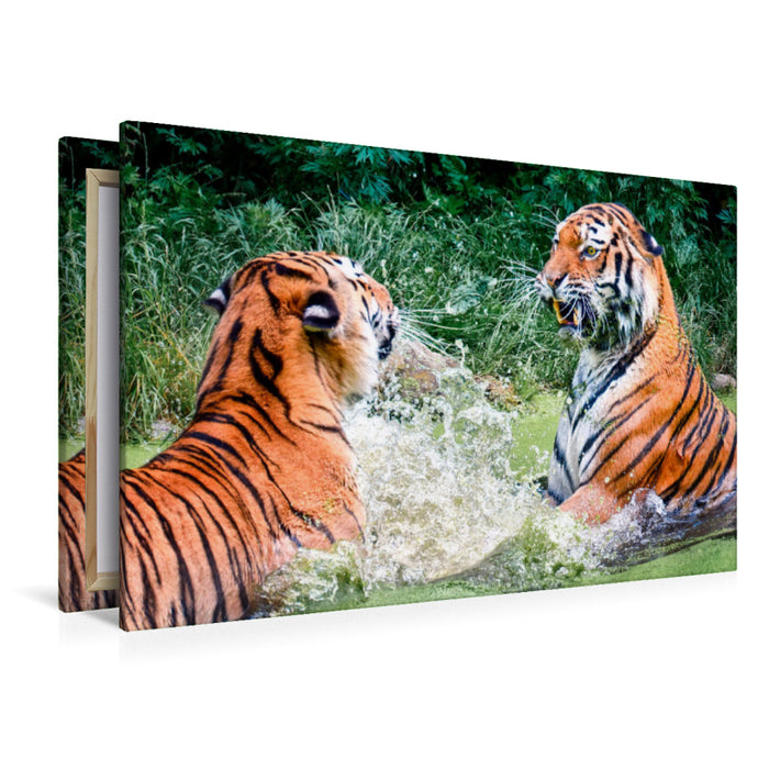 Premium Textil-Leinwand Premium Textil-Leinwand 120 cm x 80 cm quer Tiger