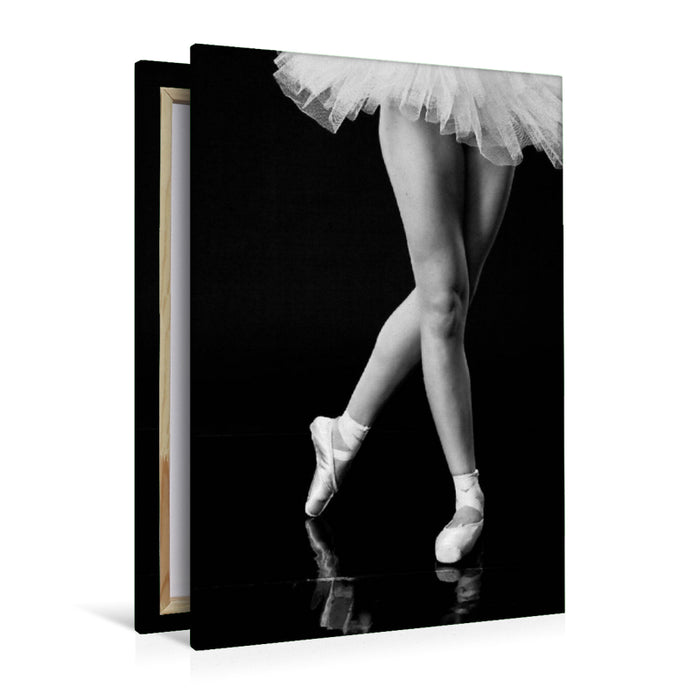 Premium textile canvas Premium textile canvas 80 cm x 120 cm high A motif from the Ballerina I calendar 