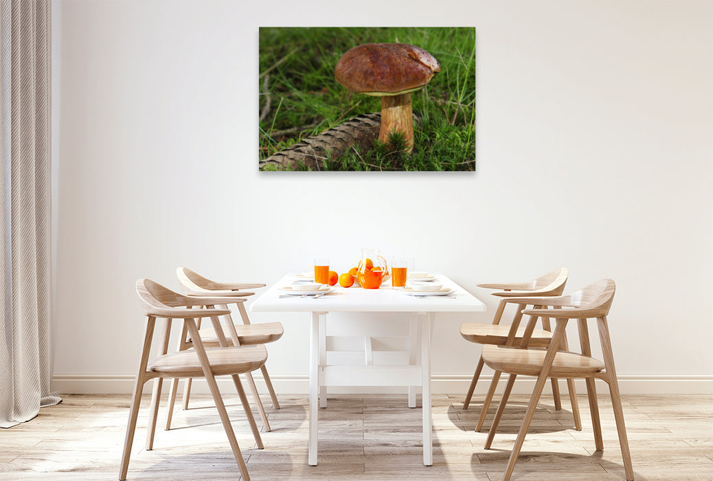 Premium textile canvas Premium textile canvas 120 cm x 80 cm across chestnut boletus (Imleria badia) 