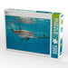 Delfin - CALVENDO Foto-Puzzle - calvendoverlag 29.99