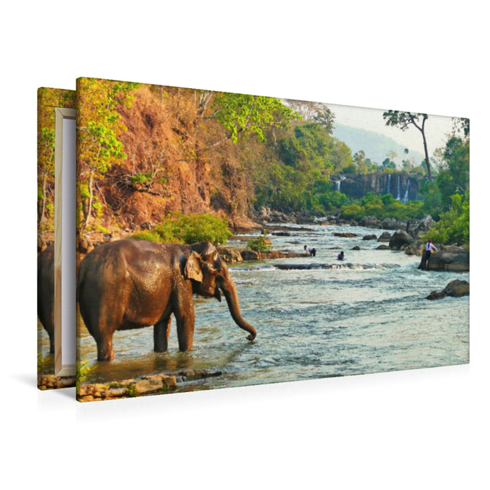 Premium Textil-Leinwand Premium Textil-Leinwand 120 cm x 80 cm quer Elefant beim Baden