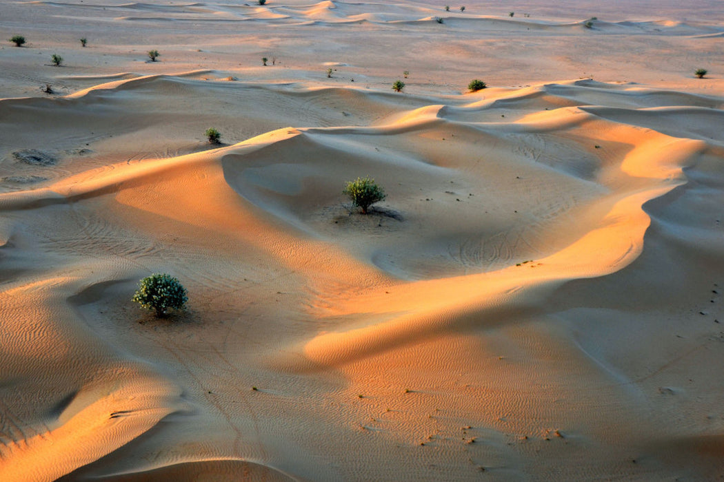 Toile textile premium Toile textile premium 120 cm x 80 cm paysage Vue depuis une balade en montgolfière sur les dunes de sable du désert "Rub al-Khali" au sud de Dubaï 