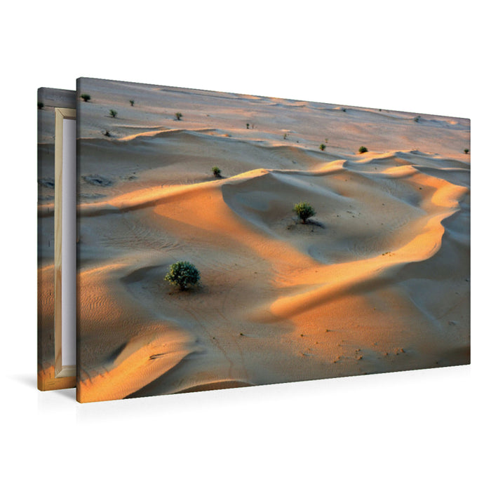Premium Textil-Leinwand Premium Textil-Leinwand 120 cm x 80 cm quer Blick von einer Fahrt mit dem Heißluftballon auf die Sanddünen der Wüste "Rub al-Khali" im Süden von Dubai