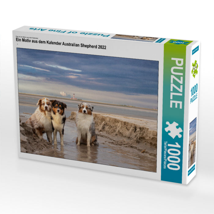 Australian Shepherd 2022 - CALVENDO Foto-Puzzle - calvendoverlag 29.99