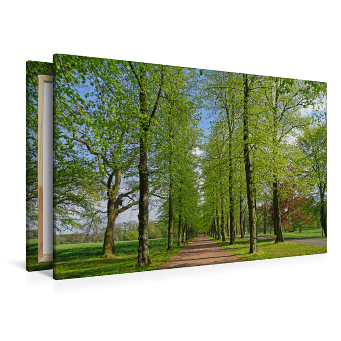 Premium Textil-Leinwand Premium Textil-Leinwand 120 cm x 80 cm quer Frühling im Rothehornpark in Magdeburg