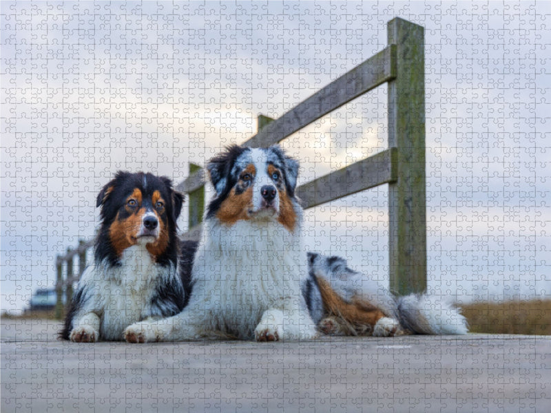 Auf dem Holzsteg - CALVENDO Foto-Puzzle - calvendoverlag 29.99