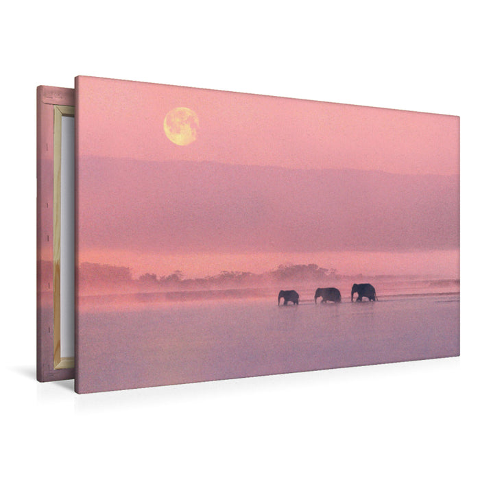 Toile textile premium Toile textile premium 120 cm x 80 cm paysage Ambiance matinale avec éléphants 