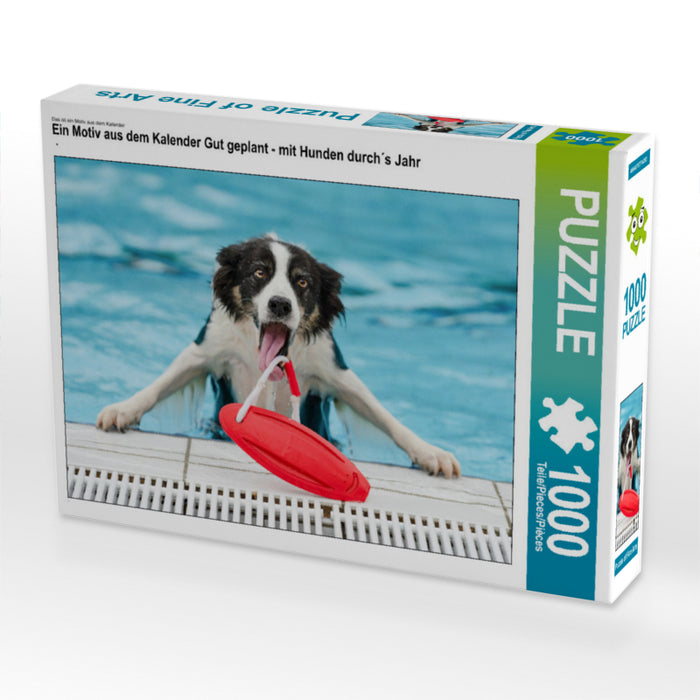 Gut geplant - mit Hunden durch´s Jahr - CALVENDO Foto-Puzzle - calvendoverlag 29.99