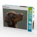 Dobermann im Portrait - CALVENDO Foto-Puzzle - calvendoverlag 29.99