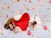 Englische Bulldogge Welpe / English Bulldog Puppy - CALVENDO Foto-Puzzle - calvendoverlag 29.99