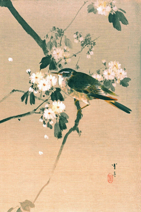 Premium Textil-Leinwand Premium Textil-Leinwand 80 cm x 120 cm  hoch Watanabe Seitei (1851–1918): Vogel auf einem blühenden Ast, ca. 1887