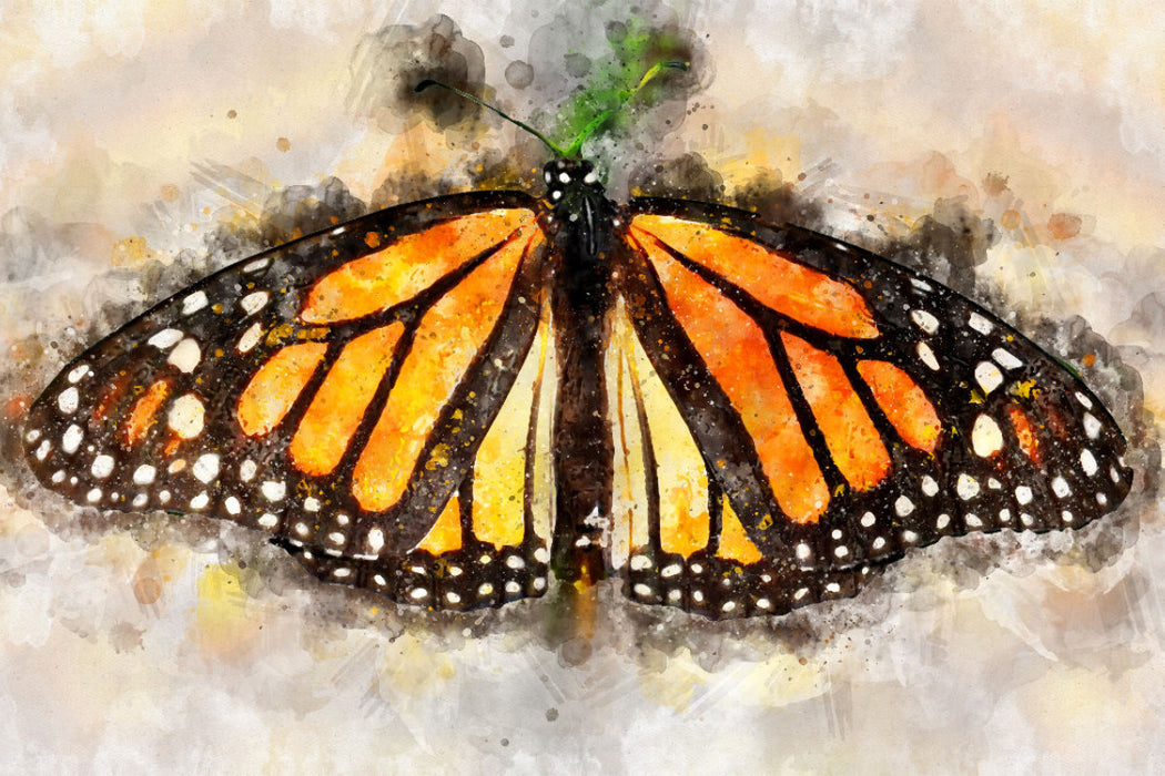 Toile textile premium Toile textile premium 120 cm x 80 cm paysage aquarelle d'un papillon monarque 