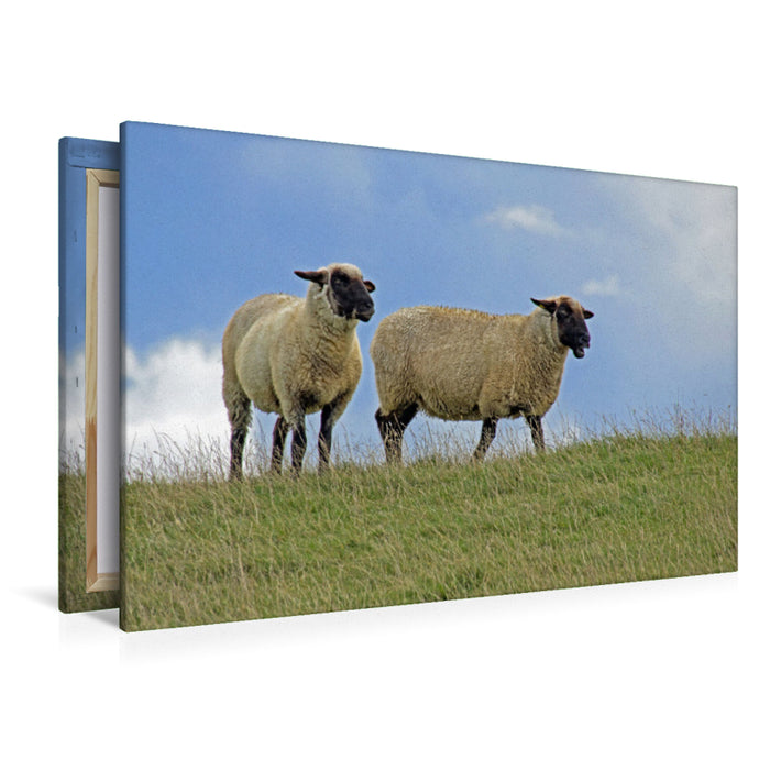 Premium Textil-Leinwand Premium Textil-Leinwand 120 cm x 80 cm quer Ein Motiv aus dem Kalender GREETSIEL - Schafe Krabbenkutter Möwen