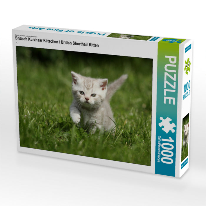 Britisch Kurzhaar Kätzchen / British Shorthair Kitten - CALVENDO Foto-Puzzle - calvendoverlag 29.99