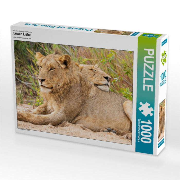 Löwen Liebe - CALVENDO Foto-Puzzle - calvendoverlag 29.99