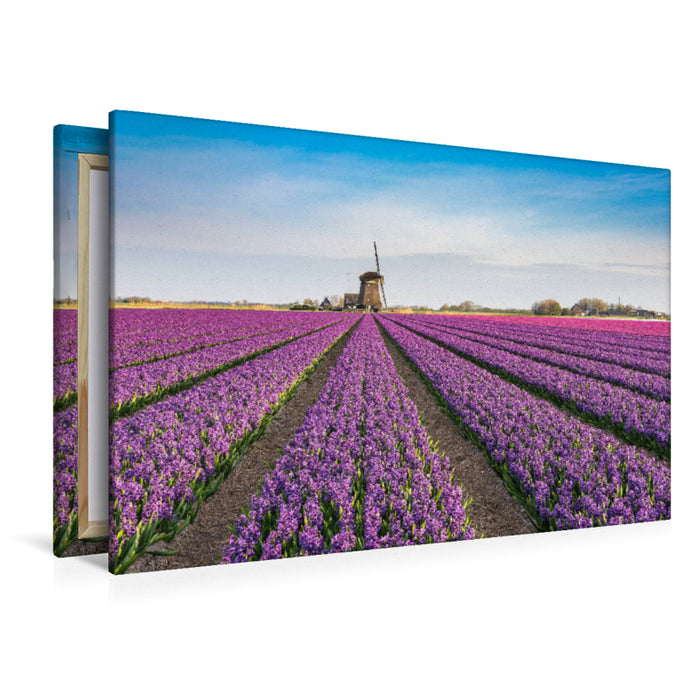 Premium Textil-Leinwand Premium Textil-Leinwand 120 cm x 80 cm quer Frühling in Holland