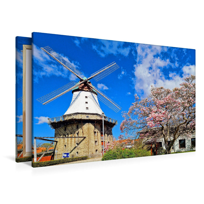 Premium textile canvas Premium textile canvas 120 cm x 80 cm across Mühle Amanda in Kappeln 