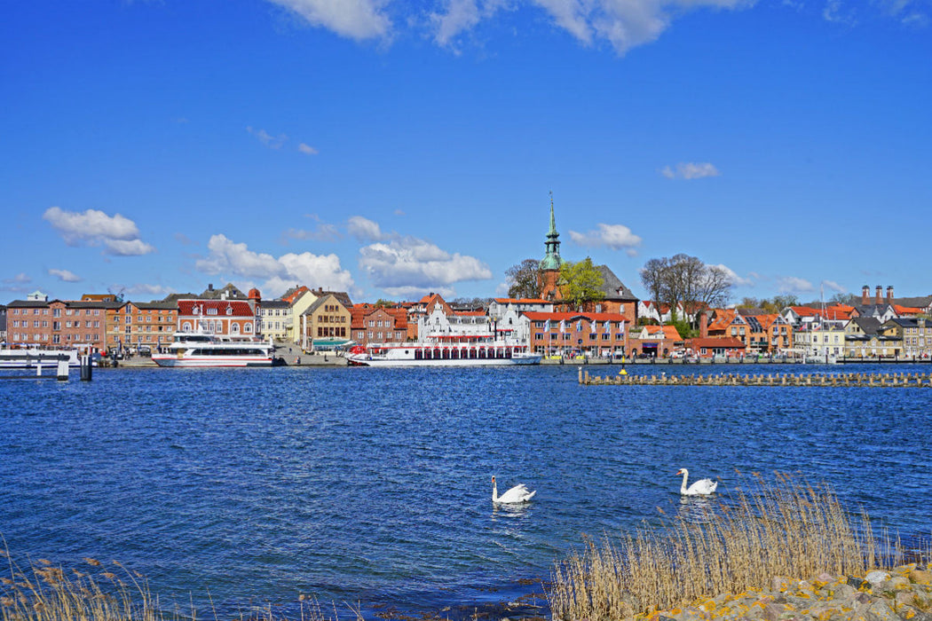 Premium textile canvas Premium textile canvas 120 cm x 80 cm across harbor in Kappeln with herring fences and swans 