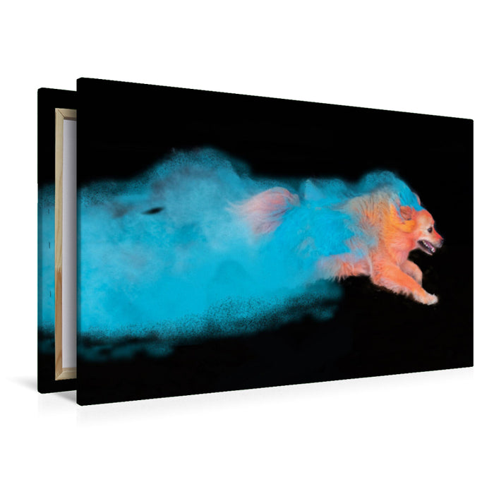 Premium textile canvas Premium textile canvas 120 cm x 80 cm landscape Flying colorful dog 