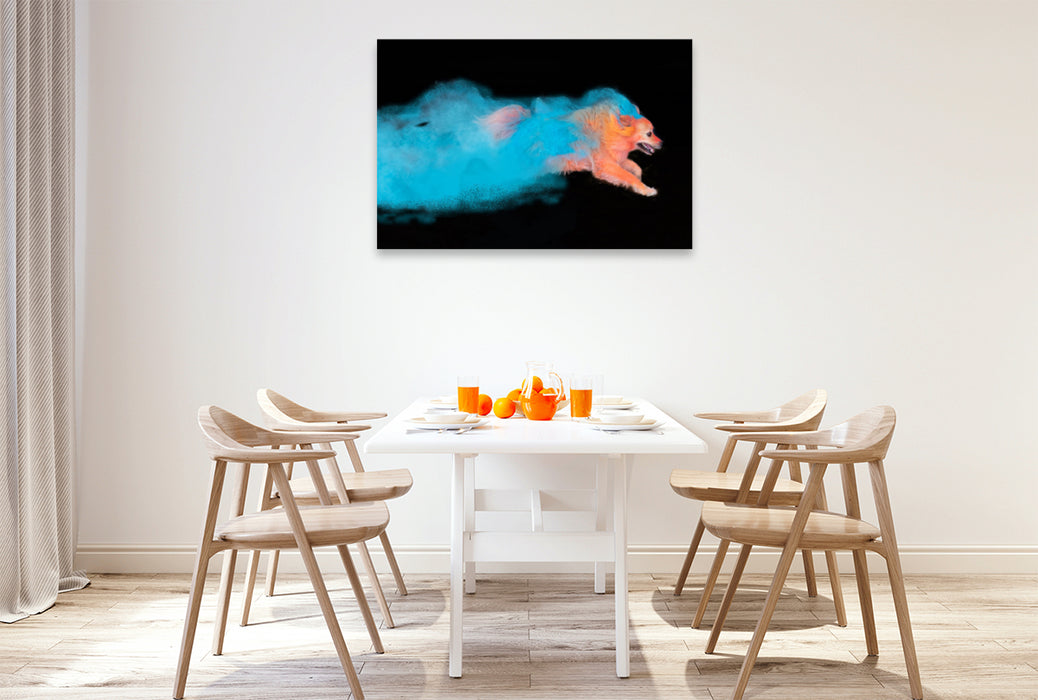Premium textile canvas Premium textile canvas 120 cm x 80 cm landscape Flying colorful dog 