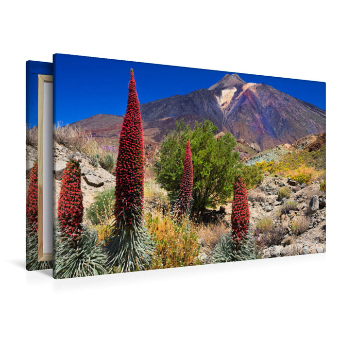 Premium textile canvas Premium textile canvas 120 cm x 80 cm landscape Teide Tenerife 