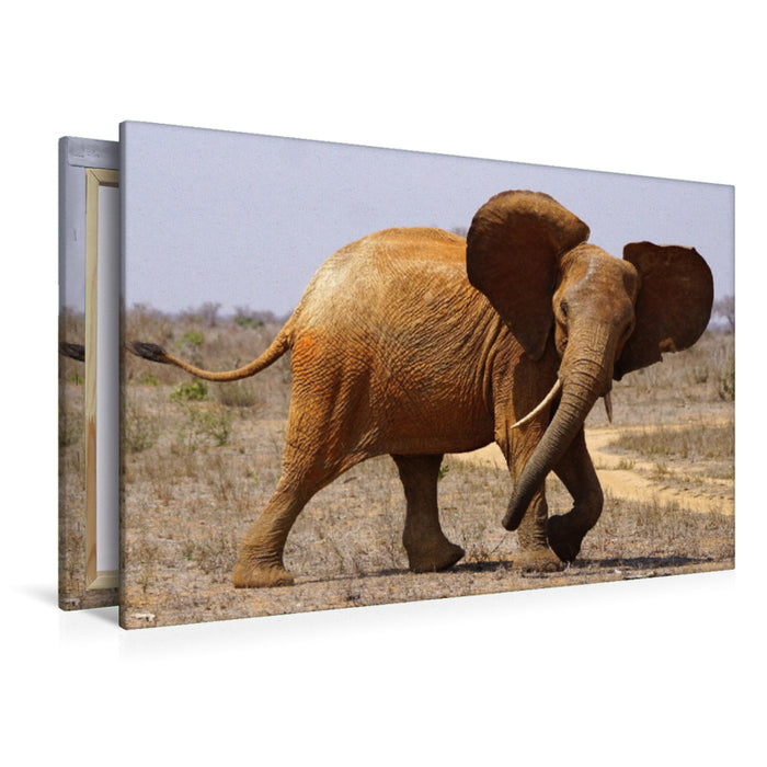 Premium textile canvas Premium textile canvas 120 cm x 80 cm landscape elephant 