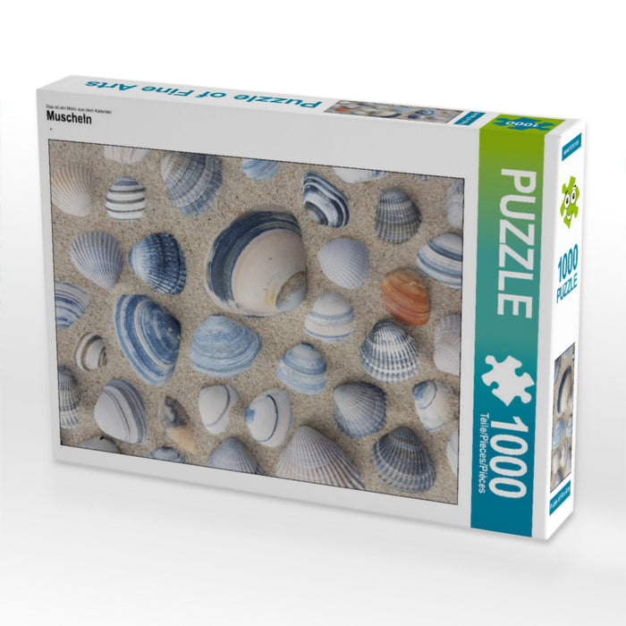 Muscheln - CALVENDO Foto-Puzzle - calvendoverlag 29.99