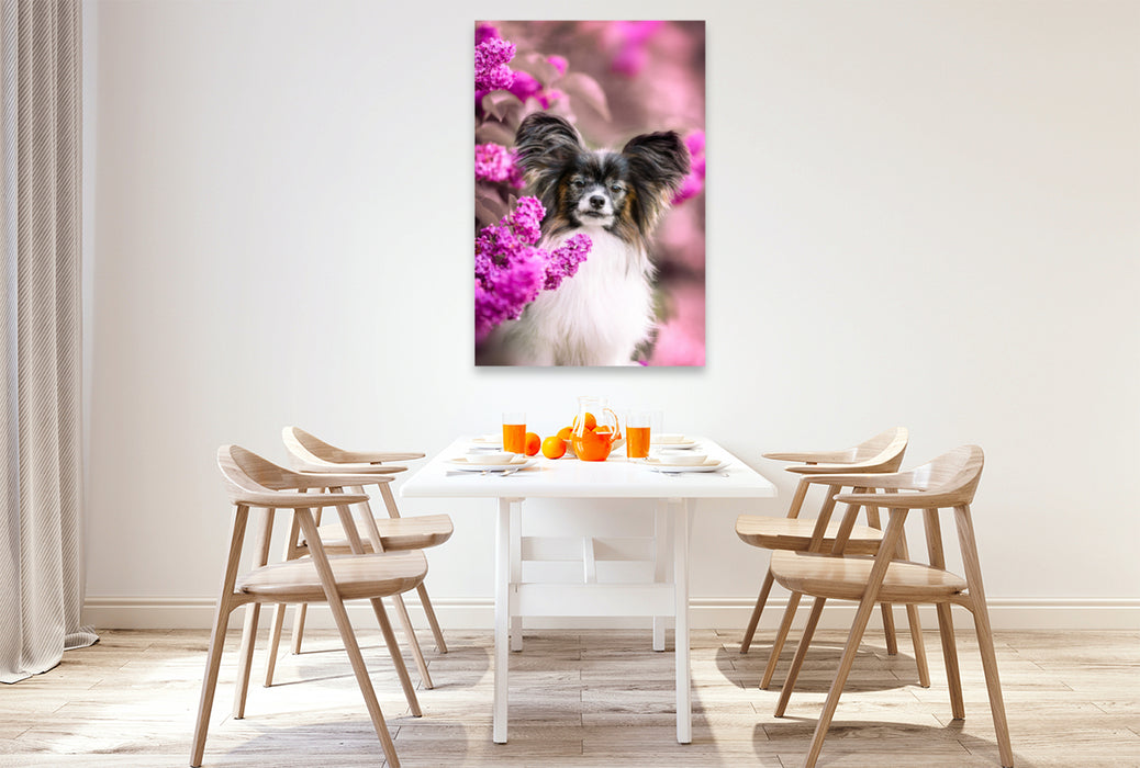 Premium textile canvas Premium textile canvas 80 cm x 120 cm high Leo, the Papillon 