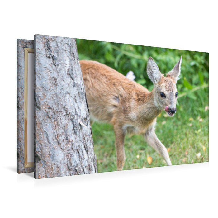 Premium Textil-Leinwand Premium Textil-Leinwand 120 cm x 80 cm quer Ein Motiv aus dem Kalender Heimische Tiere - Rehe