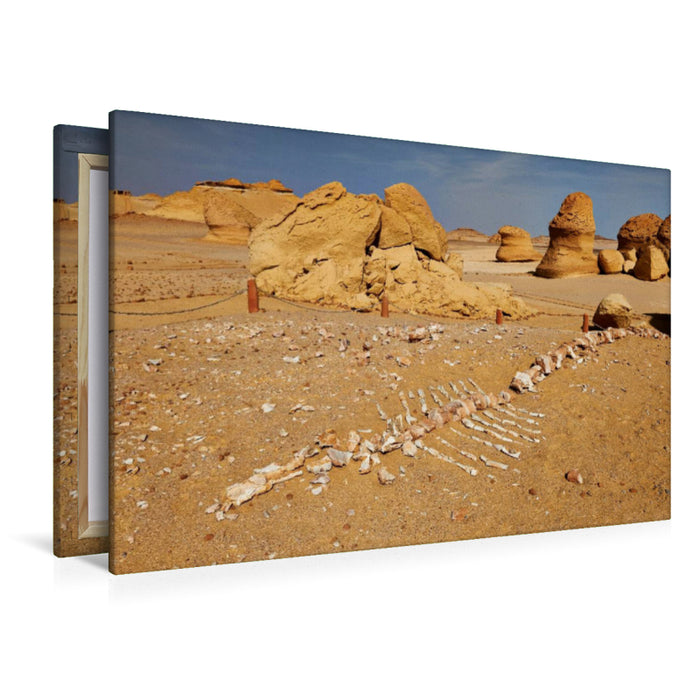 Premium textile canvas Premium textile canvas 120 cm x 80 cm landscape Petrified whale skeleton in Wadi Hitan 