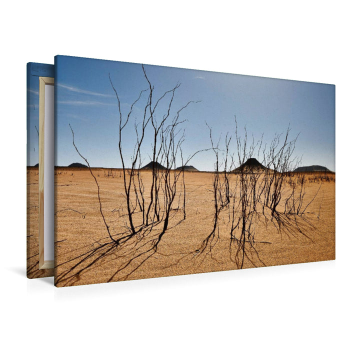 Premium textile canvas Premium textile canvas 120 cm x 80 cm landscape Dry bushes in the black desert near the Bahariya oasis 