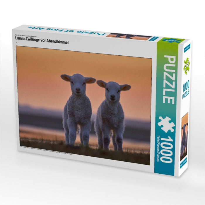 Lamm-Zwillinge vor Abendhimmel - CALVENDO Foto-Puzzle - calvendoverlag 29.99