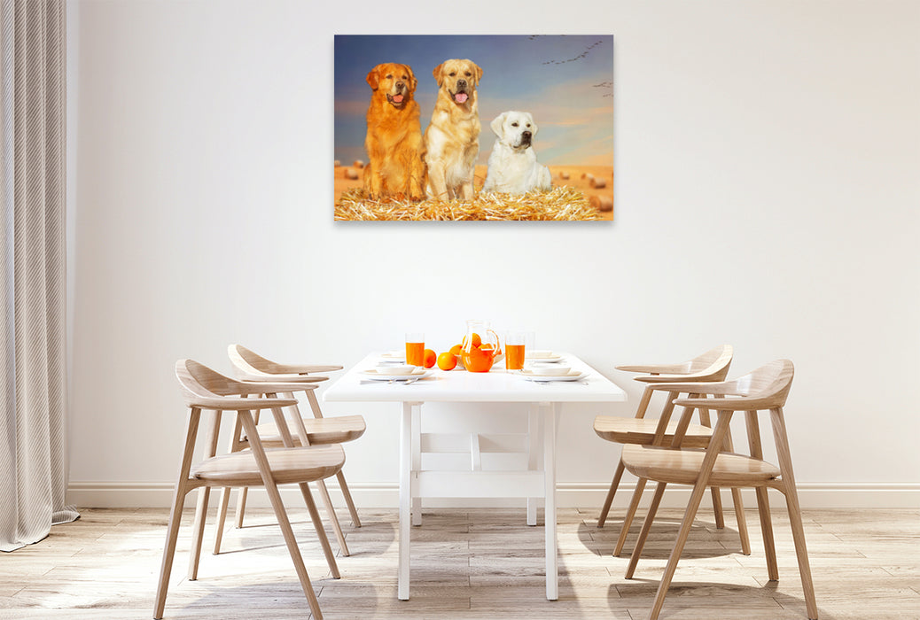 Premium textile canvas Premium textile canvas 120 cm x 80 cm landscape A motif from the calendar Golden Retriever - A friend on four paws 