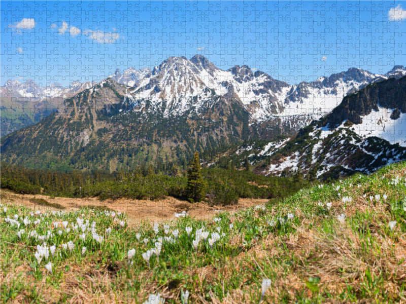 Krokuswiese am Fellhorn - CALVENDO Foto-Puzzle - calvendoverlag 39.99