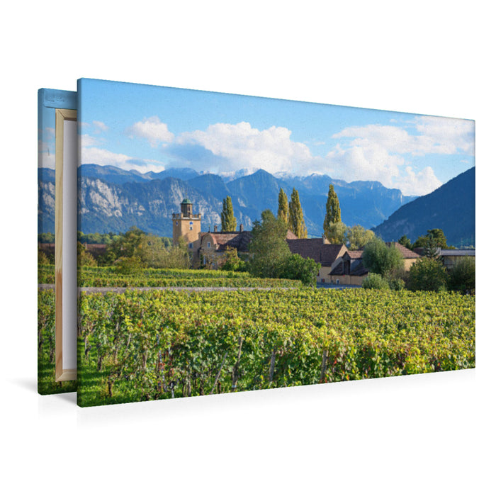 Premium textile canvas Premium textile canvas 120 cm x 80 cm landscape Weingut Schloss Salenegg Maienfeld 