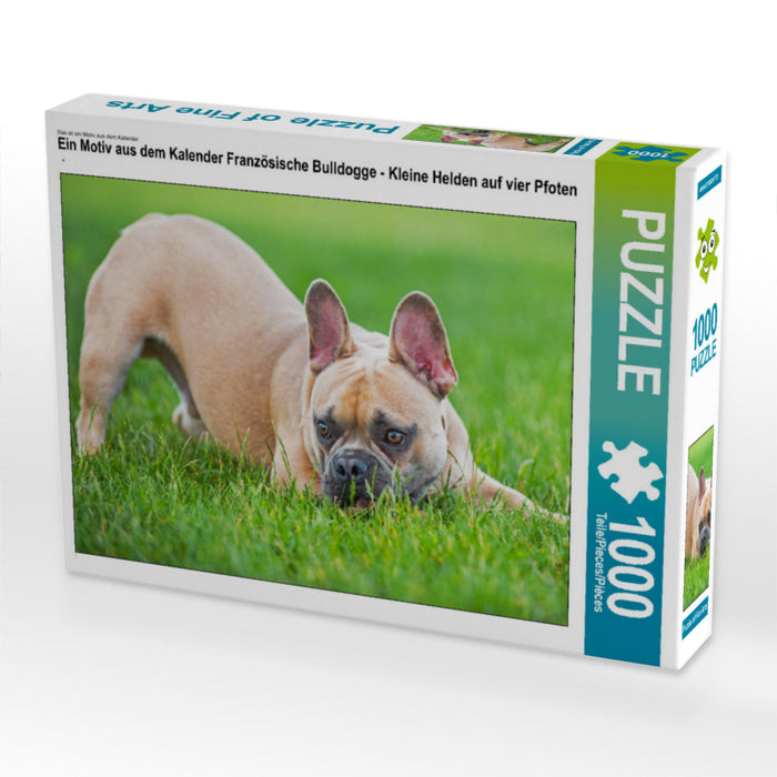 Französische Bulldogge - Kleine Helden auf vier Pfoten - CALVENDO Foto-Puzzle - calvendoverlag 29.99