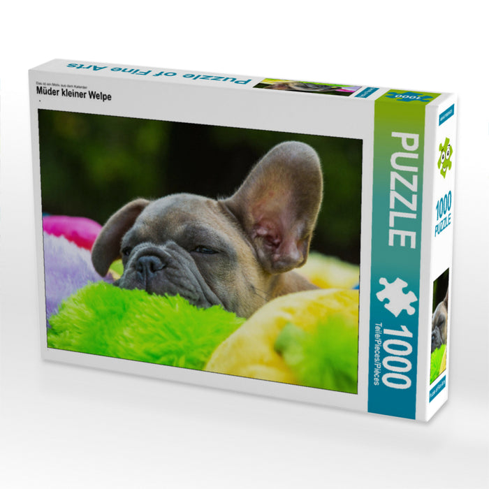 Müder kleiner Welpe - CALVENDO Foto-Puzzle - calvendoverlag 29.99