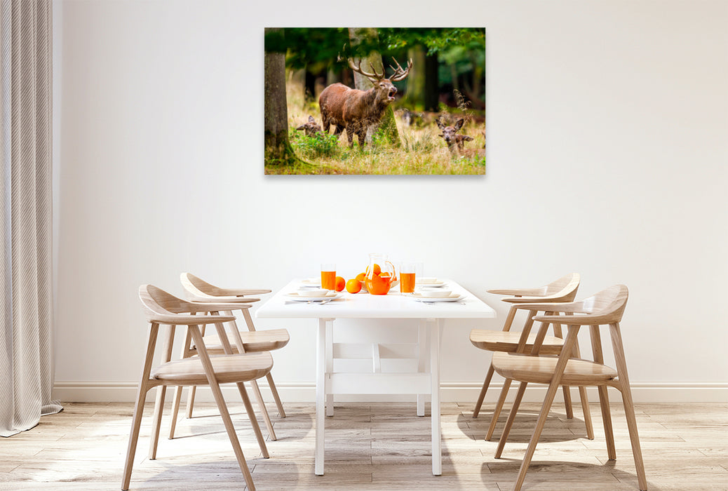 Premium textile canvas Premium textile canvas 120 cm x 80 cm landscape Red deer in rut 